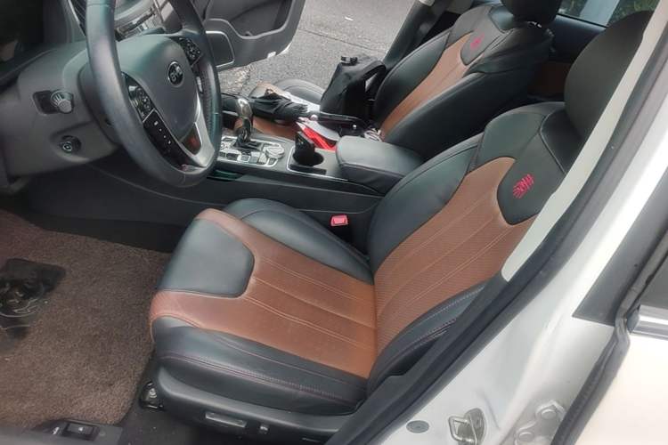 Used BYD Qin New Energy 2015 1.5T Dual-Crown Flagship Plus Edition Left Front Seat