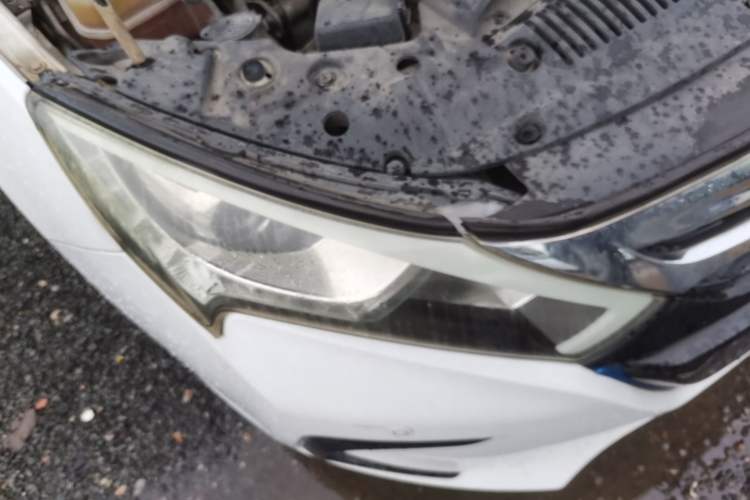 Used BYD Qin New Energy 2015 1.5T Dual-Crown Flagship Plus Edition Right Front Headlight