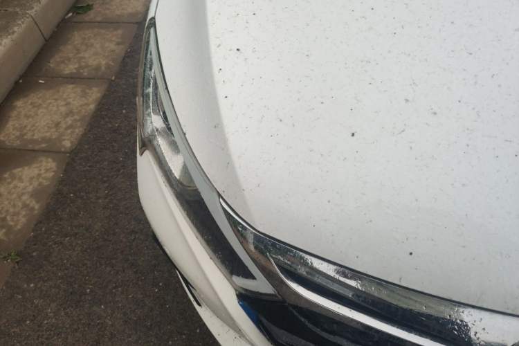 Used BYD Qin New Energy 2015 1.5T Dual-Crown Flagship Plus Edition Right Front Headlight