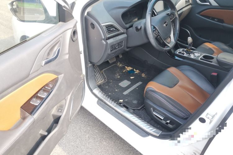 Used BYD Qin New Energy 2016 Qin EV300 Prestige Model Driver Seat