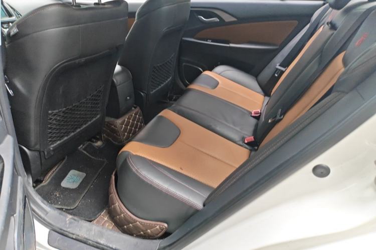 Used BYD Qin New Energy 2016 Qin EV300 Prestige Model Left Rear Seat
