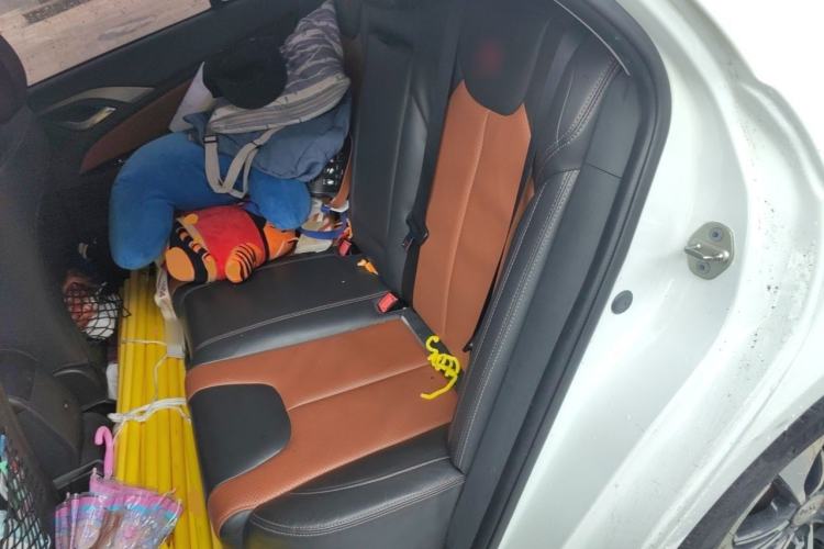 Used BYD Qin New Energy 2016 Qin EV300 Prestige Model Left Rear Seat