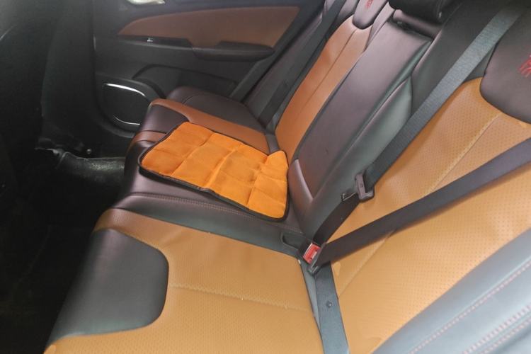Used BYD Qin New Energy 2016 Qin EV300 Prestige Model Left Rear Seat