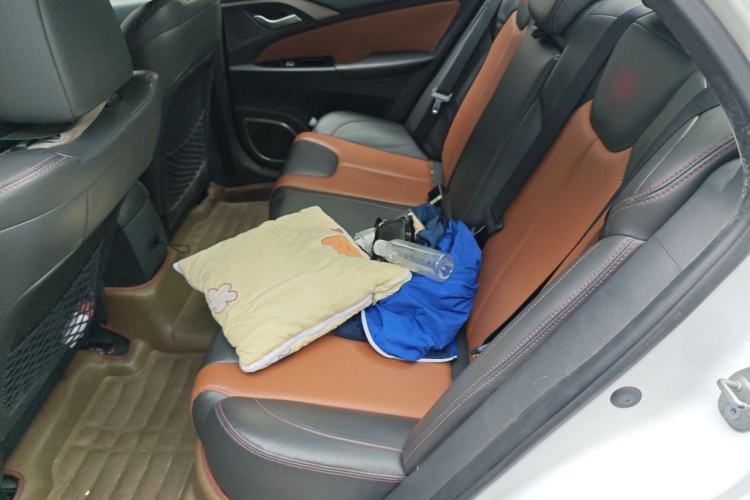 Used BYD Qin New Energy 2016 Qin EV300 Prestige Model Left Rear Seat