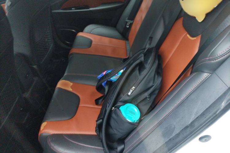 Used BYD Qin New Energy 2016 Qin EV300 Prestige Model Left Rear Seat