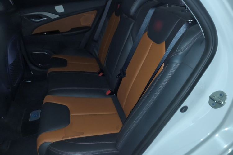 Used BYD Qin New Energy 2016 Qin EV300 Prestige Model Left Rear Seat