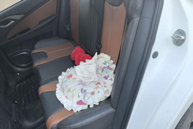 Used BYD Qin New Energy 2016 Qin EV300 Prestige Model Left Rear Seat