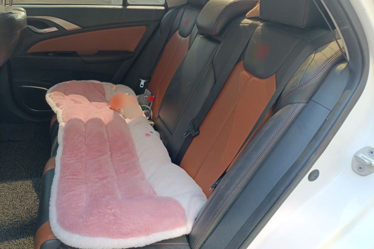 Used BYD Qin New Energy 2016 Qin EV300 Prestige Model Left Rear Seat