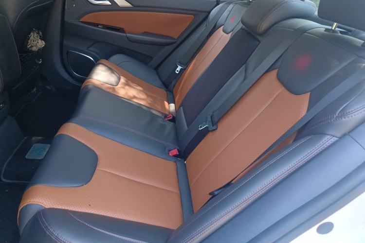 Used BYD Qin New Energy 2016 Qin EV300 Prestige Model Left Rear Seat