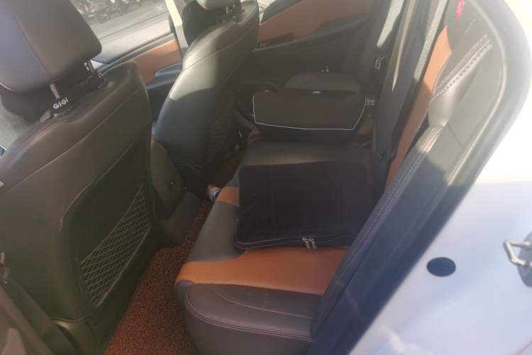 Used BYD Qin New Energy 2016 Qin EV300 Prestige Model Left Rear Seat