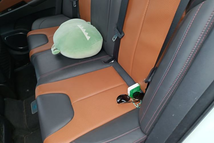 Used BYD Qin New Energy 2016 Qin EV300 Prestige Model Left Rear Seat