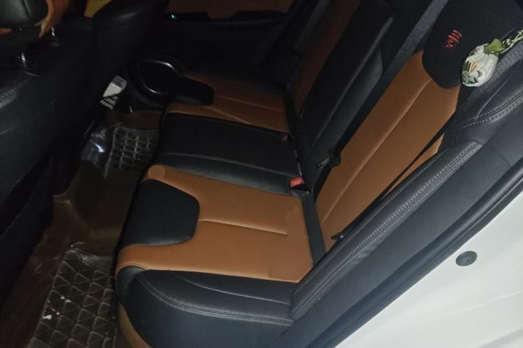 Used BYD Qin New Energy 2016 Qin EV300 Prestige Model Left Rear Seat