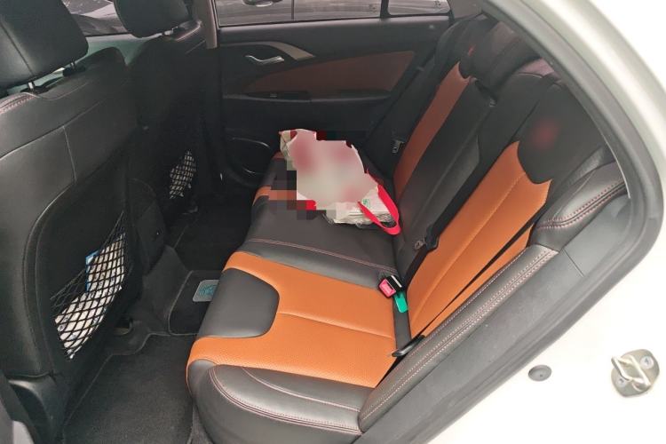 Used BYD Qin New Energy 2016 Qin EV300 Prestige Model Left Rear Seat