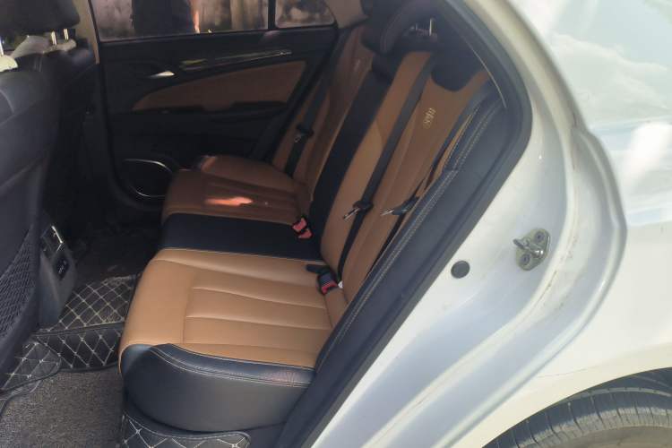 Used BYD Qin New Energy 2017 1.5T Luxury Model Left Rear Seat