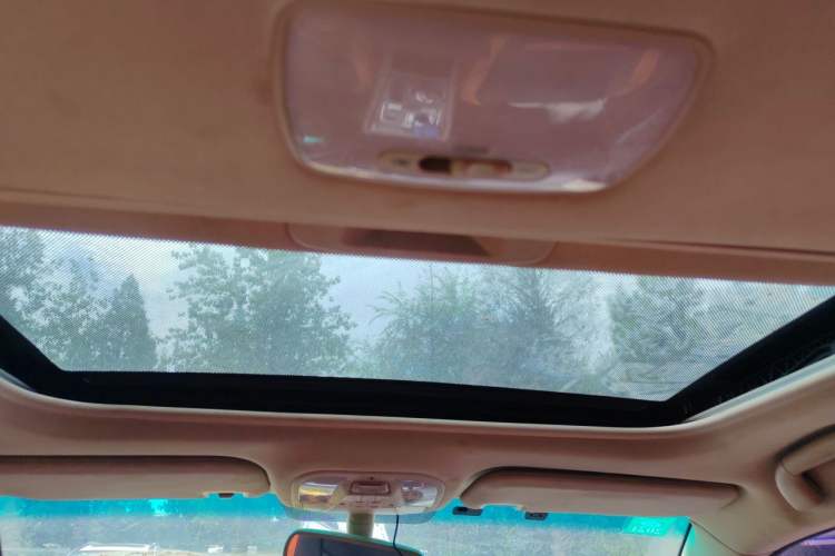 Used BYD Qin New Energy 2017 1.5T Luxury Model Headliner