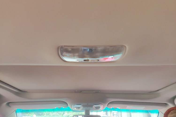 Used BYD Qin New Energy 2017 1.5T Luxury Model Headliner