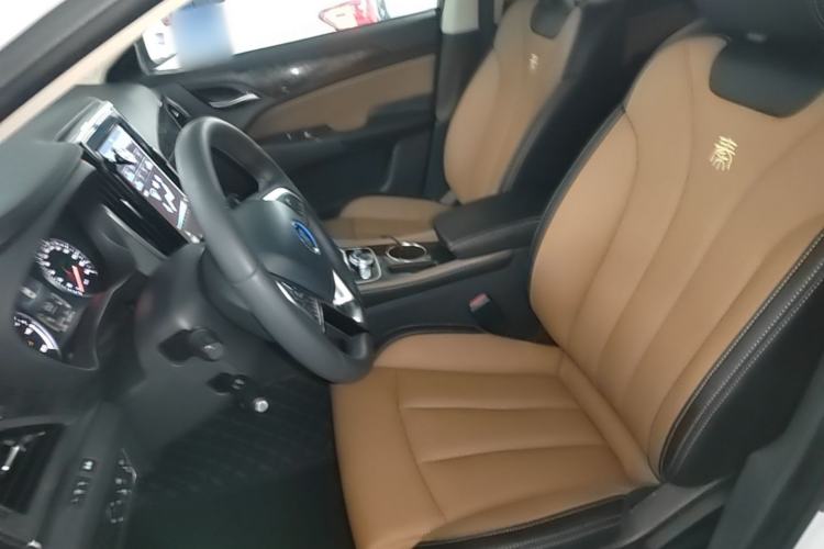 Used BYD Qin New Energy 2017 1.5T Luxury Model Left Front Seat