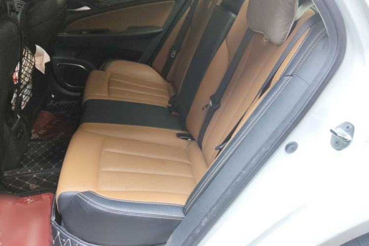 Used BYD Qin New Energy 2017 1.5T Luxury Model Left Rear Seat