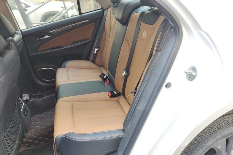 Used BYD Qin New Energy 2017 1.5T Luxury Model Left Rear Seat