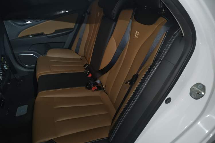Used BYD Qin New Energy 2017 1.5T Luxury Model Left Rear Seat