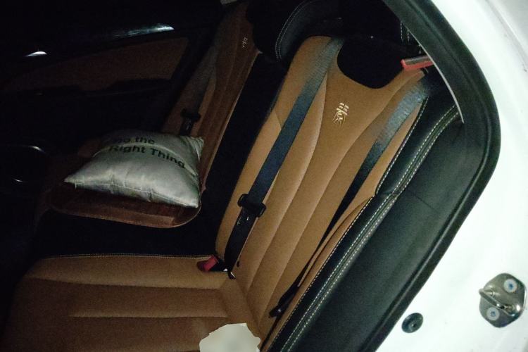 Used BYD Qin New Energy 2017 Qin EV300 Luxury Edition Left Rear Seat