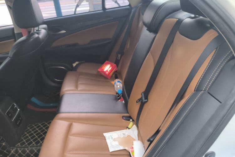 Used BYD Qin New Energy 2017 1.5T Luxury Model Left Rear Seat