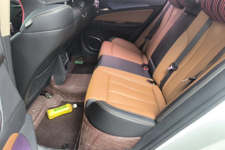Used BYD Qin New Energy 2017 1.5T Luxury Model Left Rear Seat