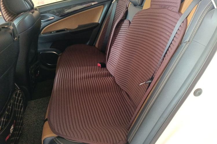 Used BYD Qin New Energy 2017 1.5T Luxury Model Left Rear Seat