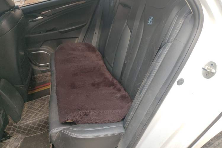 Used BYD Qin New Energy 2017 Qin 1.5T 100 Left Rear Seat