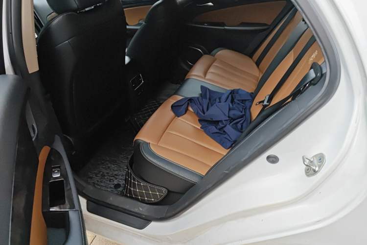 Used BYD Qin New Energy 2017 1.5T Luxury Model Left Rear Seat
