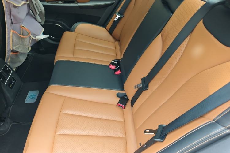 Used BYD Qin New Energy 2017 1.5T Luxury Model Left Rear Seat