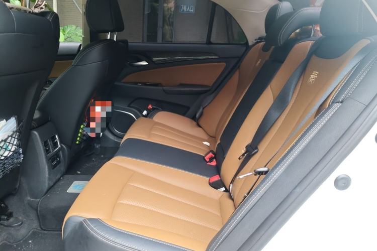 Used BYD Qin New Energy 2017 1.5T Luxury Model Left Rear Seat