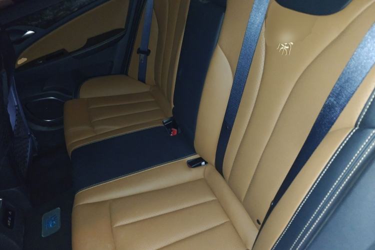 Used BYD Qin New Energy 2017 1.5T Luxury Model Left Rear Seat
