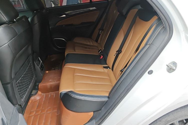 Used BYD Qin New Energy 2017 1.5T Luxury Model Left Rear Seat