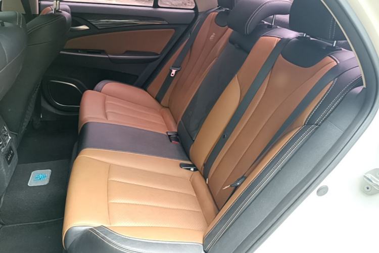 Used BYD Qin New Energy 2017 1.5T Luxury Model Left Rear Seat