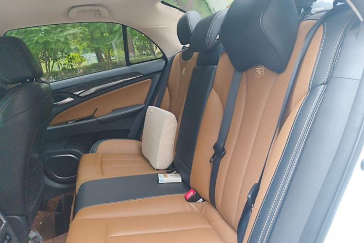 Used BYD Qin New Energy 2017 Qin 1.5T 100 Left Rear Seat