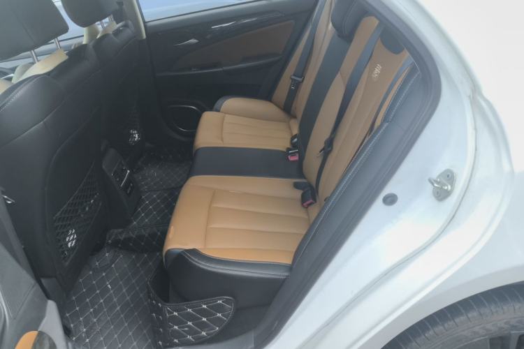 Used BYD Qin New Energy 2017 Qin 1.5T 100 Left Rear Seat