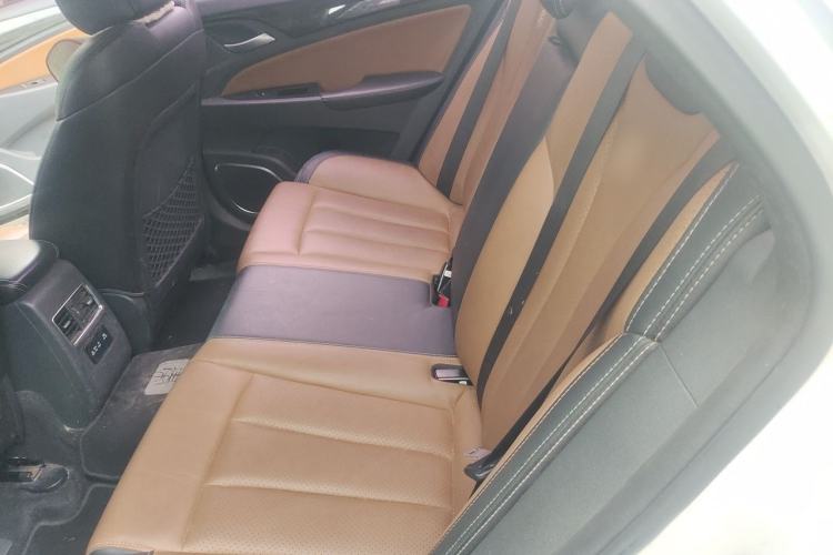 Used BYD Qin New Energy 2017 1.5T Luxury Model Left Rear Seat