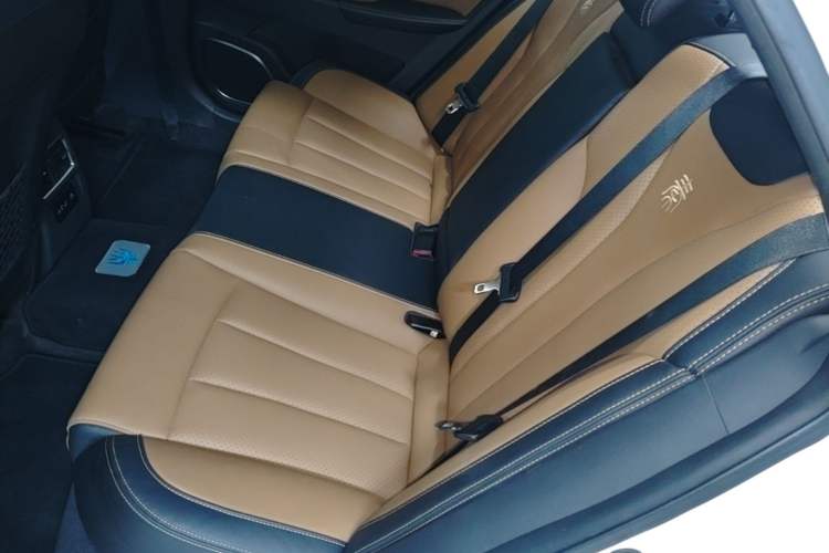 Used BYD Qin New Energy 2017 1.5T Luxury Model Left Rear Seat