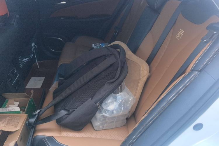 Used BYD Qin New Energy 2017 Qin 1.5T 100 Left Rear Seat