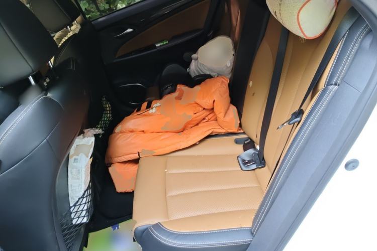Used BYD Qin New Energy 2017 1.5T Luxury Model Left Rear Seat