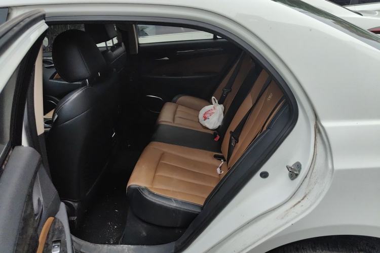 Used BYD Qin New Energy 2017 1.5T Luxury Model Left Rear Seat