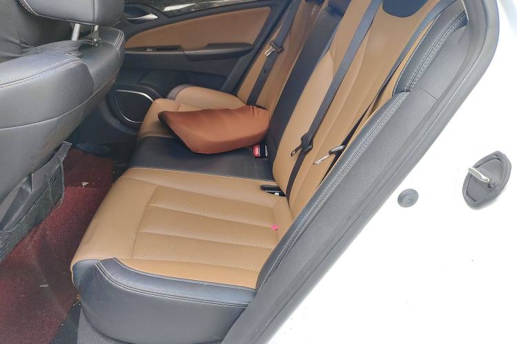 Used BYD Qin New Energy 2017 1.5T Luxury Model Left Rear Seat