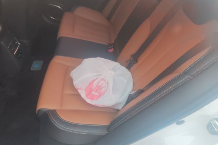 Used BYD Qin New Energy 2017 1.5T Luxury Model Left Rear Seat