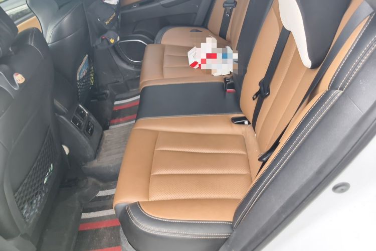 Used BYD Qin New Energy 2017 1.5T Luxury Model Left Rear Seat