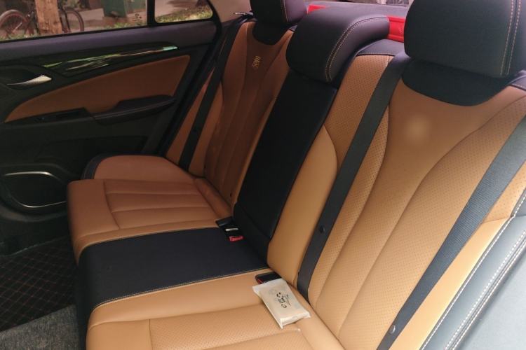 Used BYD Qin New Energy 2017 1.5T Luxury Model Left Rear Seat