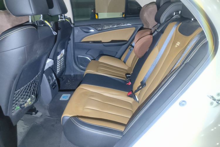 Used BYD Qin New Energy 2017 1.5T Luxury Model Left Rear Seat
