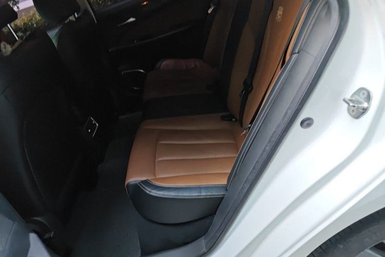 Used BYD Qin New Energy 2017 1.5T Luxury Model Left Rear Seat