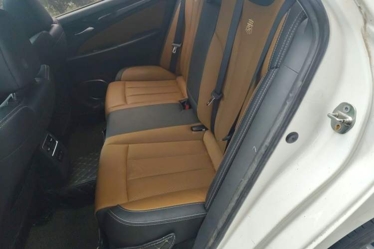 Used BYD Qin New Energy 2017 1.5T Luxury Model Left Rear Seat