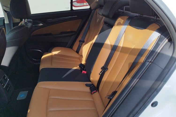 Used BYD Qin New Energy 2017 1.5T Luxury Model Left Rear Seat
